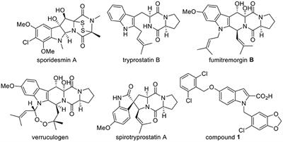 Synthesis, Antimicrobial Activity, Structure-Activity Relationship, and Molecular Docking Studies of Indole Diketopiperazine Alkaloids